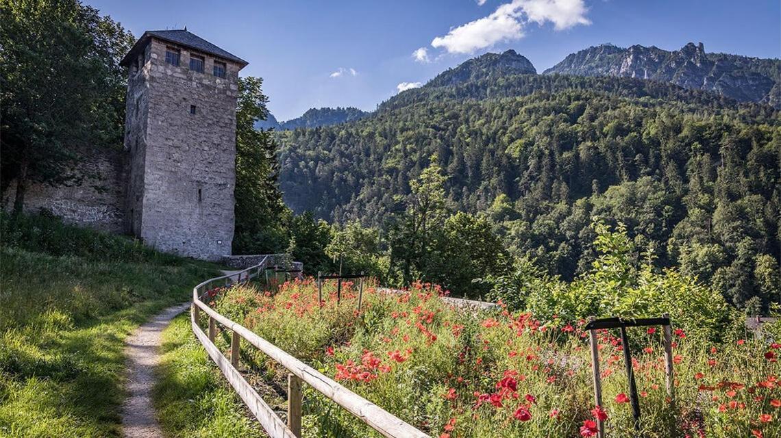 Ferienwohnungen Brigitte In Der Altstadt Bad Reichenhall Exterior photo